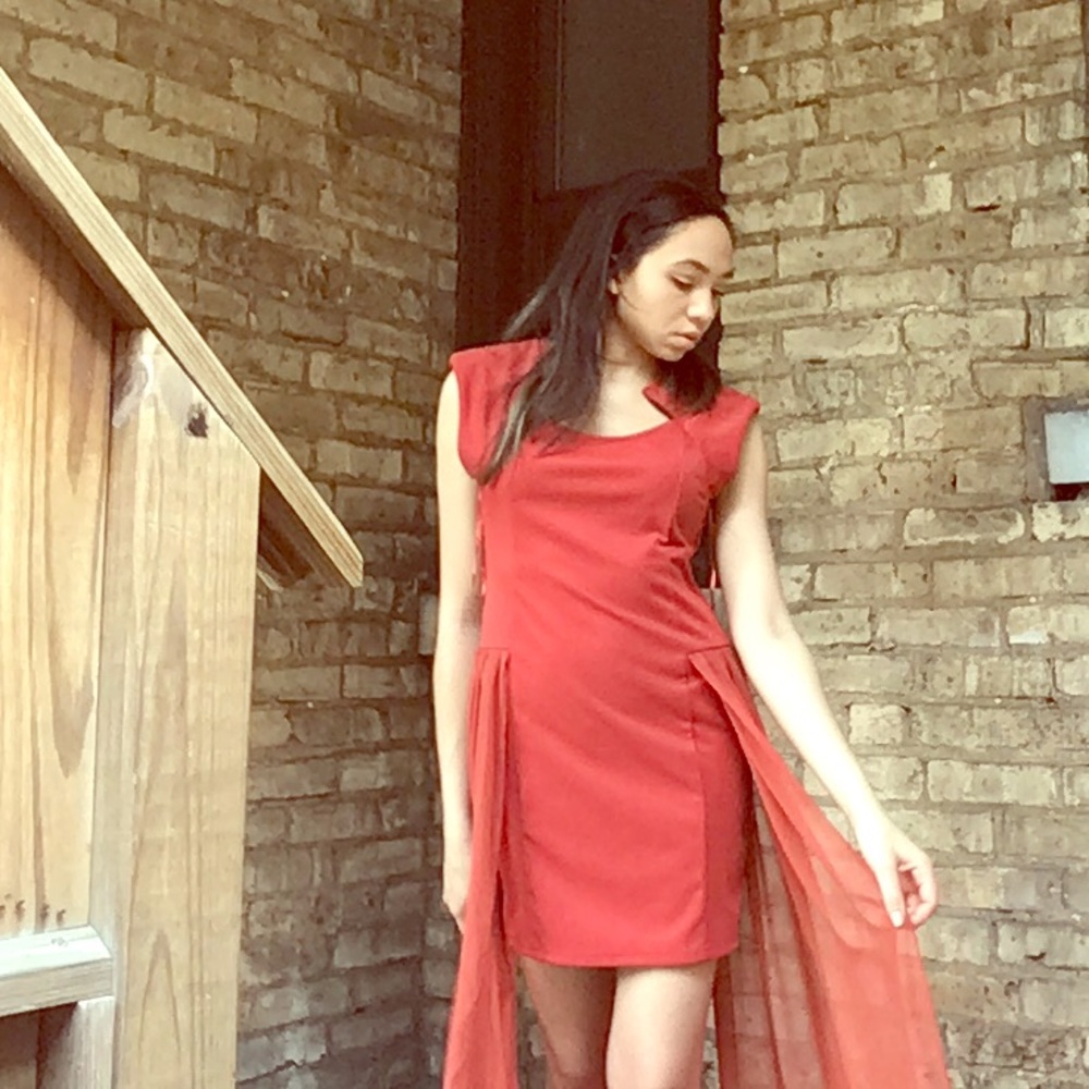Rust Cocktail Dress - Picture 3 of 10